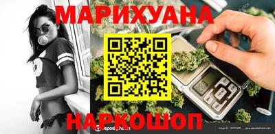 спиды Гатчина