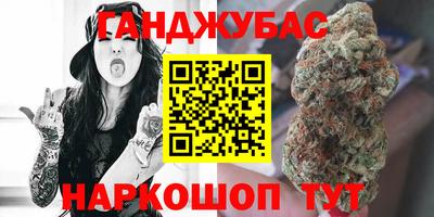 амф Гай