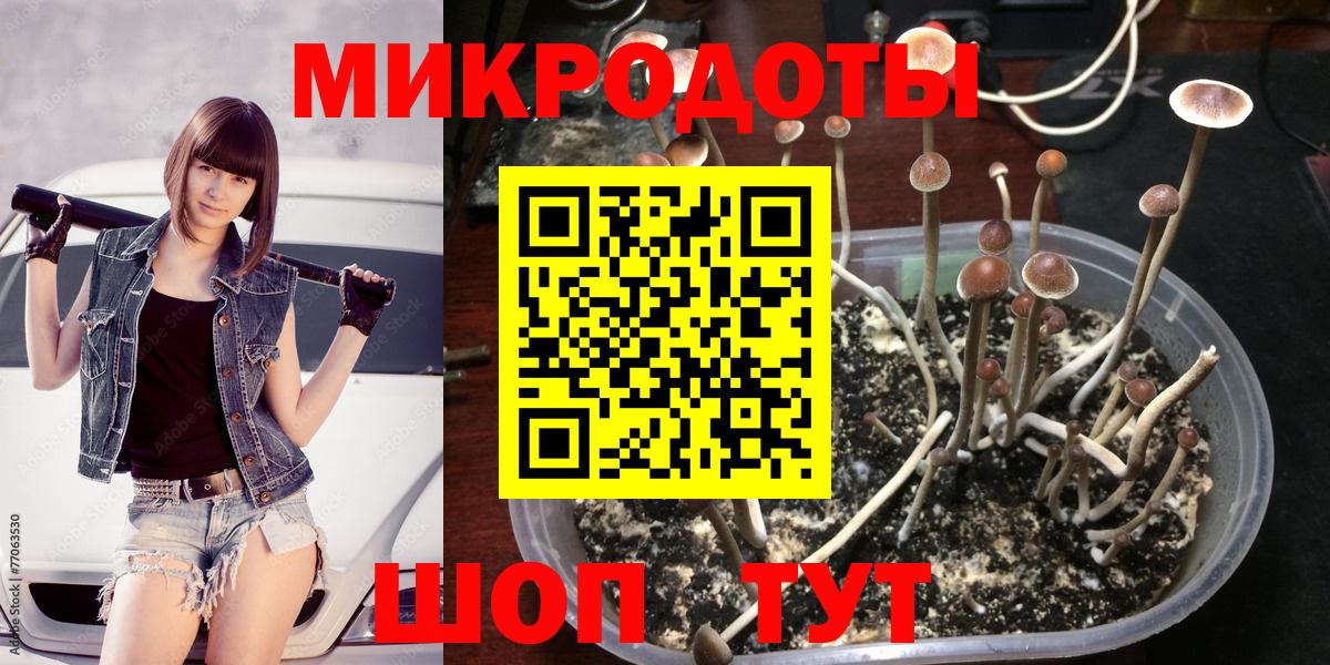 Галлюциногенные грибы Psilocybe Нефтекамск