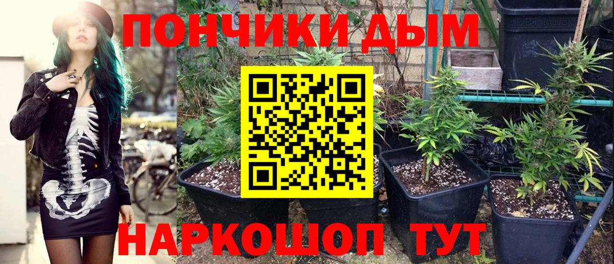Каннабис план  Канабис семена  Бошки марихуана White Widow  Вход с VPN  Нефтекамск 